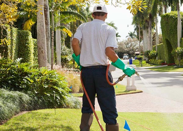 About Sonora CA Pest Control